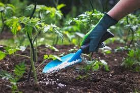 KB Fertilizers